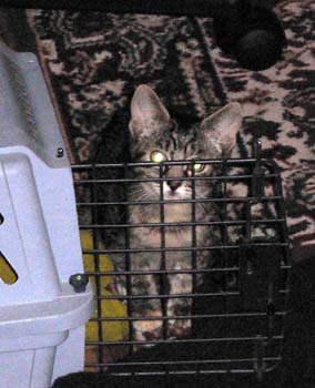 catss 097