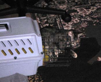 catss 098