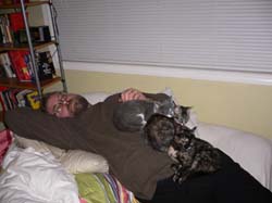 catss 037