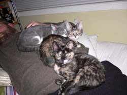 catss 079
