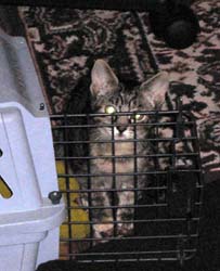 catss 097