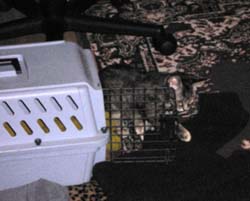 catss 098